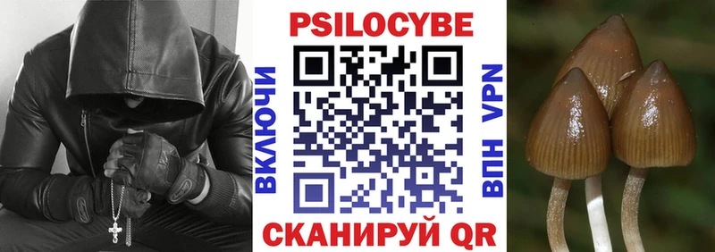 Псилоцибиновые грибы Psilocybine cubensis  Анапа 